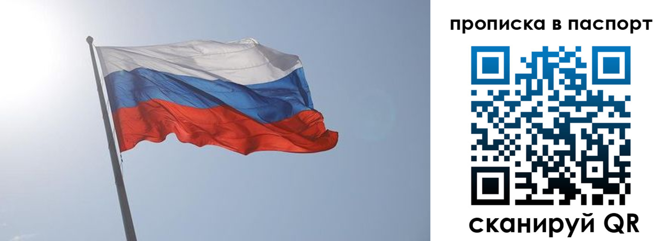 прописка для школы в Козельске